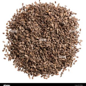 Test Seeds 12