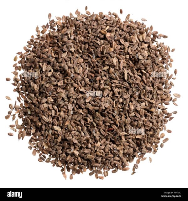 Test Seeds 10